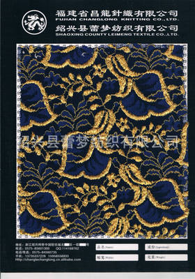 【大量現(xiàn)貨供應(yīng)新款錦綸壓紗蕾絲面料】價(jià)格,廠家,圖片,花邊類,紹興縣蕾夢紡織-